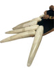 Cara Croninger White Talon Sculpture Necklace