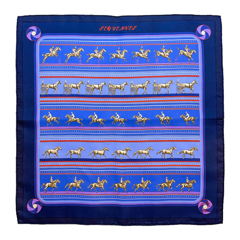 Blue scarf with horse sequences print.