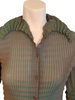 Green, plissé blouse with long sleeves, collar, and brown buttons. 